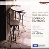 Download track 13 - Bach - Non Sa Che Sia Dolore, BWV 209 - Recitative-Tuo Saver Al Tempo