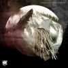 Download track Rain A Fall