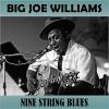 Download track Forty Four Blues