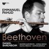 Download track Beethoven: Serenade In D Major, Op. 25: I. Entrata. Allegro