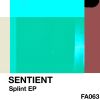 Download track Splint