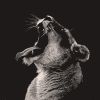 Download track I Guess I'm Good For Nothing But The Blues