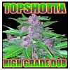 Download track High Grade Dub - Elephant Man & Mr. Vegas X Tekamine & Parallel [Bun It All Day] X [Eat Shit]