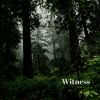 Download track Fly Through The Trees