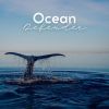 Download track Waves From The Pacific Ocean, Pt. 12
