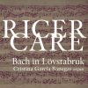 Download track Kleines Harmonisches Labyrinth, BWV 591