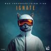 Download track Ignate (Extended Mix)