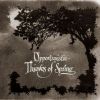Download track Summertide'S Approach