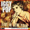 Download track Real Wild Child (Live)
