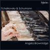 Download track Album Für Die Jugend, Op. 68: No. 8, Wilder Reiter