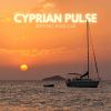 Download track Urban Night Pulse
