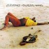 Download track Guess Who