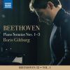 Download track 13. Piano Sonata No. 7 In D Major, Op. 10 No. 3 III. Menuetto. Allegro