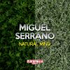 Download track Logical Rhythm