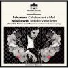 Download track 20. Cello Suite No. 2 In D Minor, BWV 1008 - II. Allemande