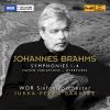 Download track Symphony No. 2 In D Major, Op. 73 IV. Allegro Con Spirito