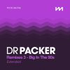 Download track A Roller Skating Jam Named Saturdays (Dr Packer Remix - Extended) 117
