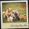 Download track Gentle Waves Lullaby