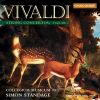 Download track Concerto For Strings In D Major, RV124 - II. Grave