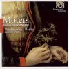 Download track Der Geist Hilft Unsrer Schwachheit Auf BWV 226 - II. Alla Breve: Der Aber