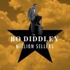Download track Bo Diddley Is A Lover
