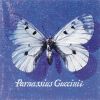 Download track Parole