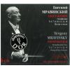 Download track Symphony No. 6 In B Minor, Op. 54 Allegro
