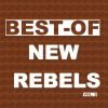 Download track Djole