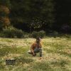 Download track The Shade
