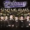 Download track Si No Me Amas