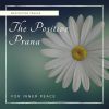 Download track A Soothing Session