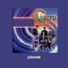 Download track Mañana Que Ya No Este