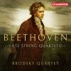 Download track String Quartet No. 14 In C-Sharp Minor, Op. 131: II. Allegro Molto Vivace