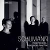 Download track Piano Trio No. 1 In D Minor, Op. 63: IV. Mit Feuer - Nach Und Nach Schneller