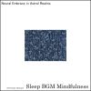 Download track Embracing Night With The Soundwaves Of Cognitive Tranquility
