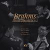 Download track Piano Quartet In A Major, Op. 26 No. 2: I. Allegro Non Troppo