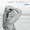 Download track Poor Wayfaring Stranger
