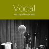 Download track Ice Walls - Vocal Chillout Mix