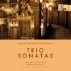 Download track Trio Sonata In D Major, Op. 2 No. 3: II. Molto Aallegro