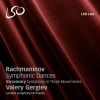 Download track 05 - Symphony In Three Movements - II. Andante – Più Mosso – Tempo I