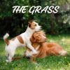 Download track Deeply