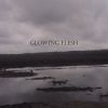 Download track Emptiness