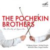 Download track Duo For Violin And Viola In G Major, K. 423 I. Allegro