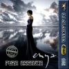 Download track Orinoco Flow