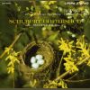 Download track IV. Allegro Vivace