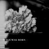 Download track I'm A Pilgrim