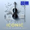 Download track Chaconne In D Minor (After Violin Partita No. 2 In D Minor, BWV 1004 By J. S. Bach, Transcr. For Piano By Ferruccio Busoni)