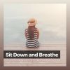 Download track Calm Life, Pt. 17