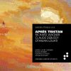 Download track Wesendonck Lieder, WWV 91: III. Im Treibhaus (Live)