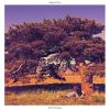 Download track Good Morning Haze